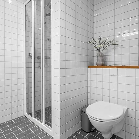 Pp1c-central-spacious, Balcony, Family Withkids, Garage Apartmán